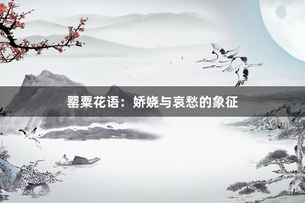 罂粟花语：娇娆与哀愁的象征