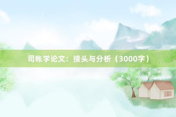 司帐学论文：接头与分析（3000字）