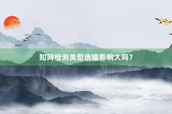 知网检测类型选错影响大吗？
